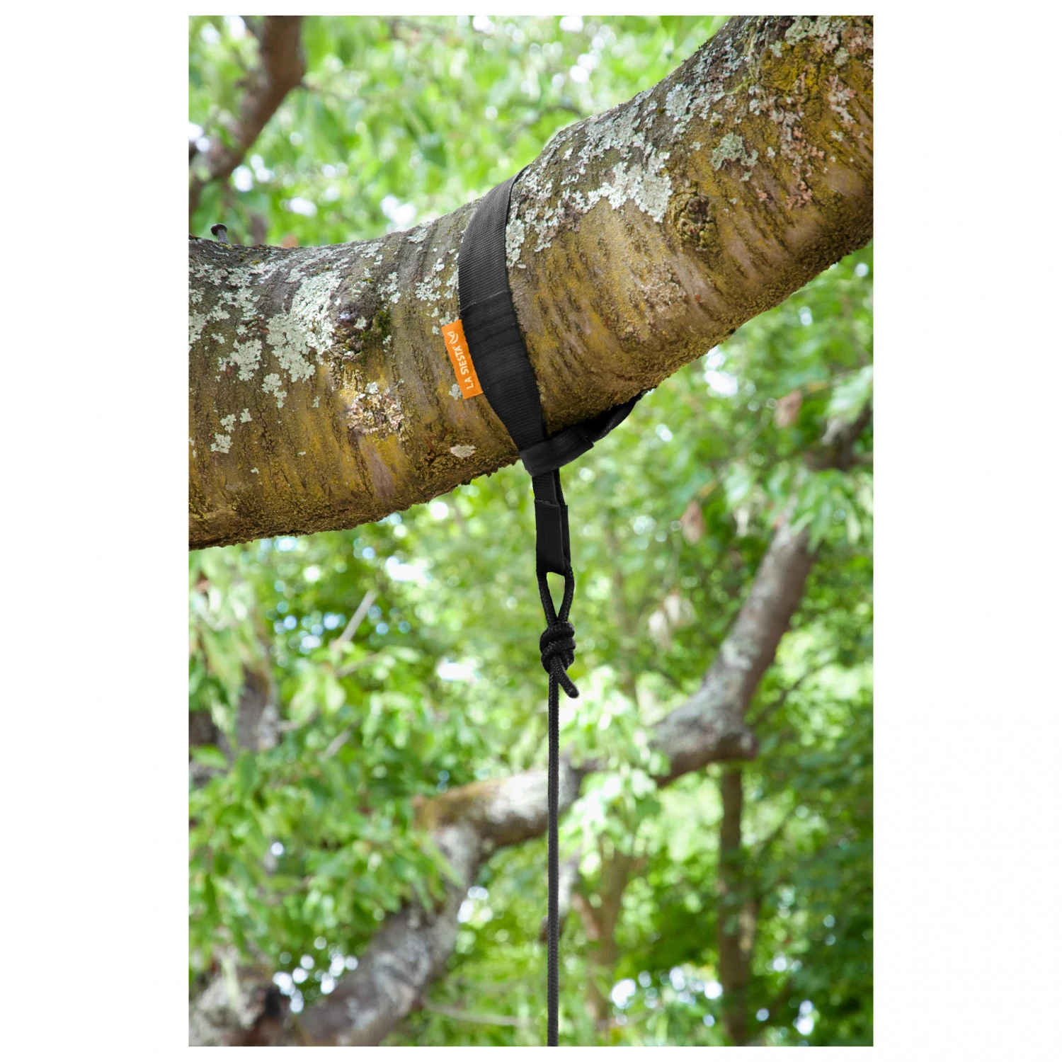 LA SIESTA ZunZun - Hammock 6 LA SIESTA ZunZun - Hammock - Image 4